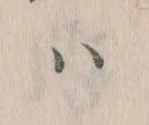 𛂞 위치 확인됨