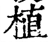 글자 植