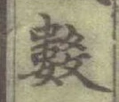 “數”字