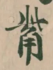 觜 위치 확인됨