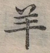 羊 위치 확인됨