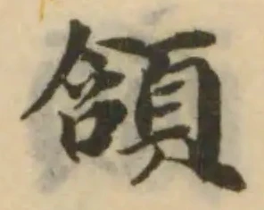 頷の位置