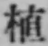 글자 植