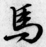 位置定マレル馬