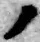 字ノ