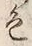 文字色