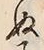 글자 ぬ