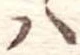 𛂞 위치 확인됨