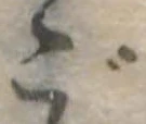 ご 위치 확인됨