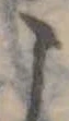 位置定マレル未定