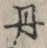 已定位丹