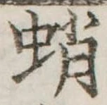 蛸 위치 확인됨