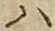 글자 ハ
