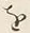 文字を