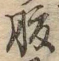 腹 위치 확인됨
