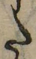 𛁠の位置