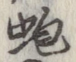 蚫の位置