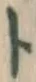 字ト