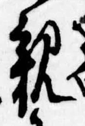 親 위치 확인됨