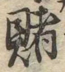 賭 위치 확인됨