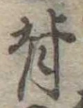 背 위치 확인됨