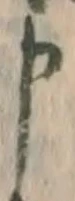 字申