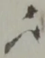 以 위치 확인됨