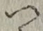 字つ