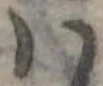 𛂞 위치 확인됨