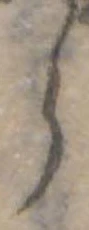 𛃰 위치 확인됨