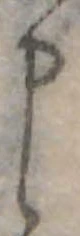 申 위치 확인됨