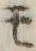 字モ