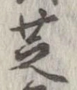 芝 위치 확인됨