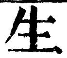 字生