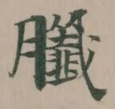 䑎の位置