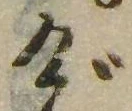 位置 確認된 げ