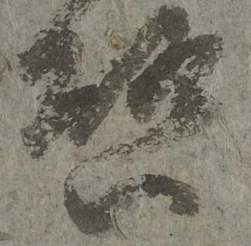 啓 위치 확인됨