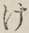 글자 け