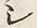 文字シ