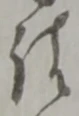 請 위치 확인됨