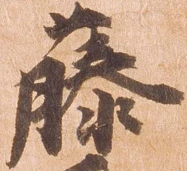 藤の位置