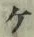 字ケ
