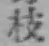 字枝