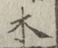 位置 確認된 木