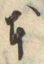 本 위치 확인됨