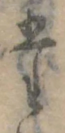 位置定マレル𛁞