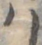 𛂞 위치 확인됨