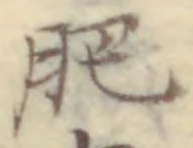 文字肥