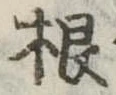 根 위치 확인됨