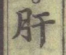 글자 肝